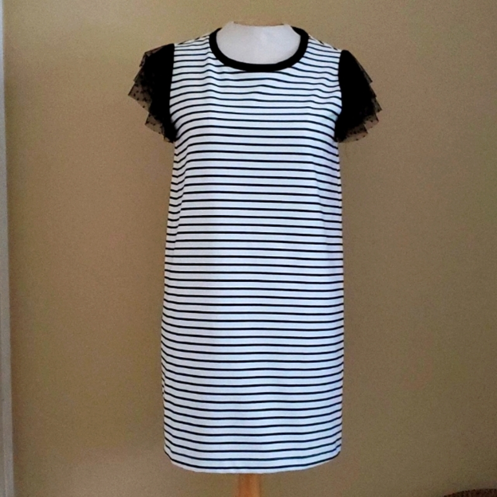 Adrienne Vittadini Striped Tulle Sleeve Shift Dress